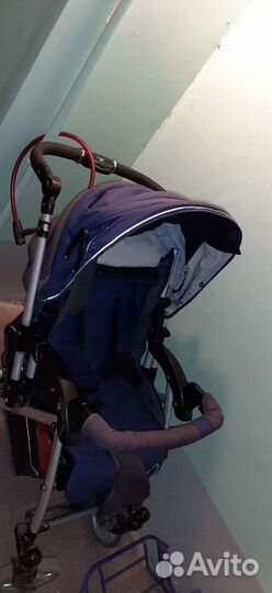 Коляска capella сибирь