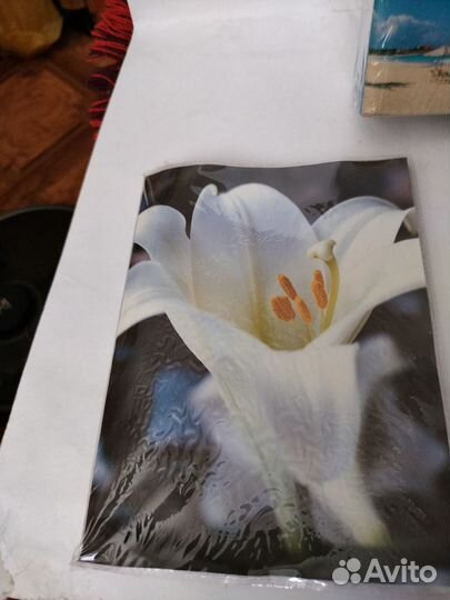 Фотоальбом новый