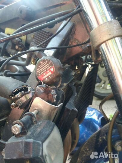 Продам Honda CB600 Hornet