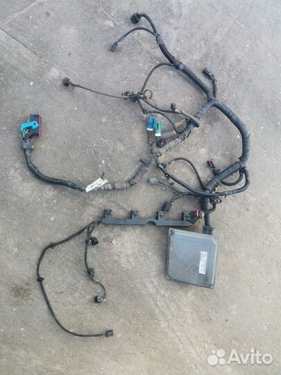 Моторная коса Ford Focus 2 1.6 115 л.с