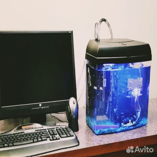 Иммерсионное охлаждение, масло для асиков