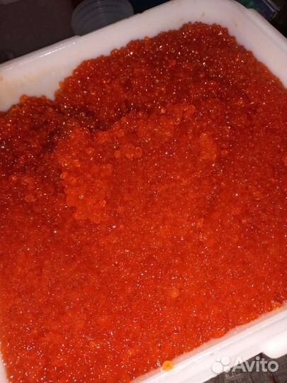 Красная икра
