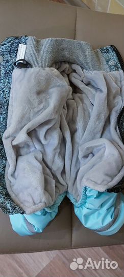 Одежда для маленьких пород собак