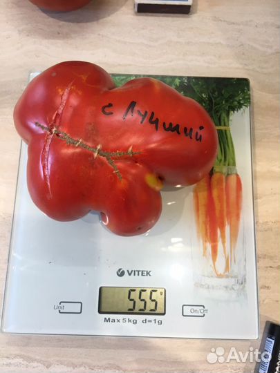 Семена сортовых томатов