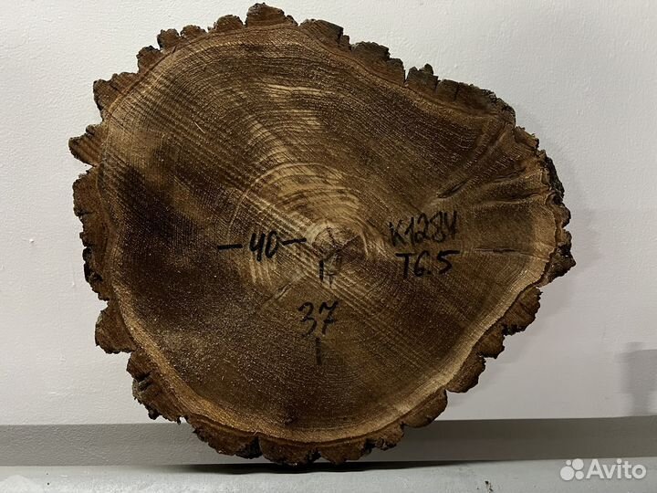 Слэб карагача