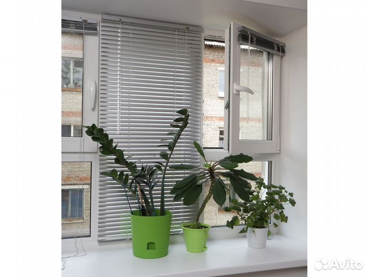 Пластиковые окна