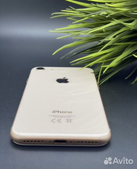 iPhone 8, 128 ГБ