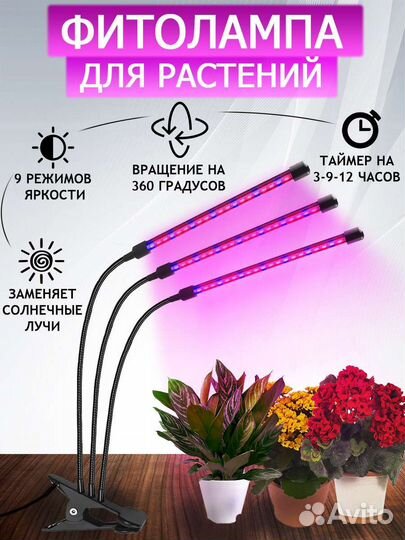 Фитолампа для растений