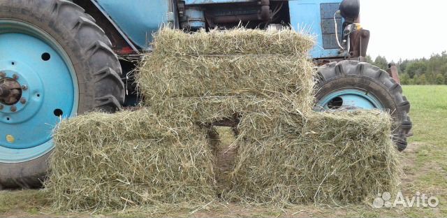 Сено в кипах