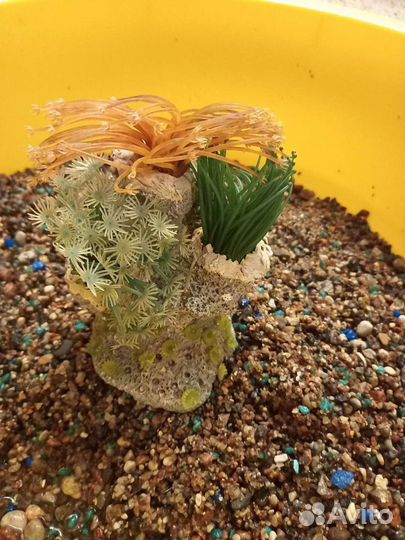 Грунт Декорации для аквариума Камни