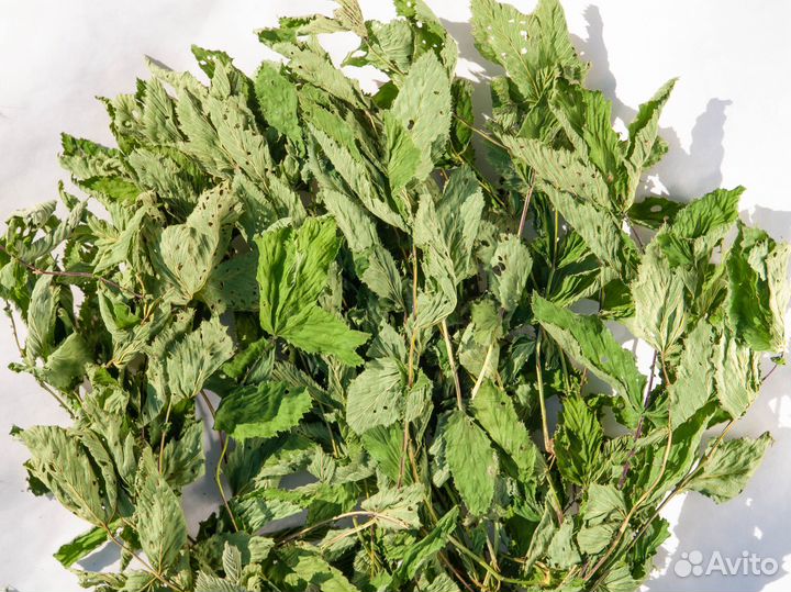 Лист таволги (лабазника), 50г