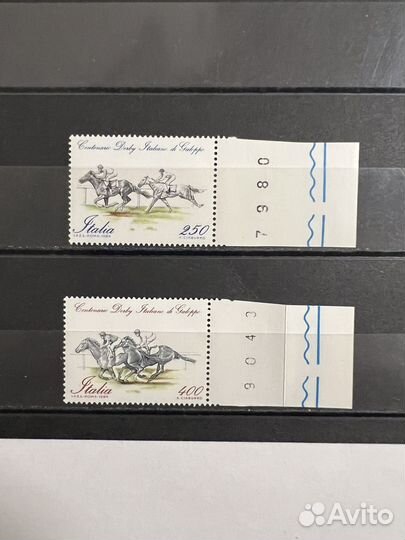 1984 г. Италия. Лошади