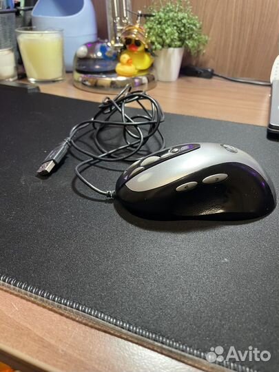 Мышь