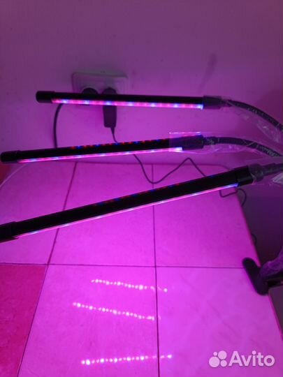 Фитолампа для растений