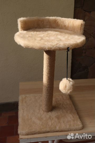 Когтеточка