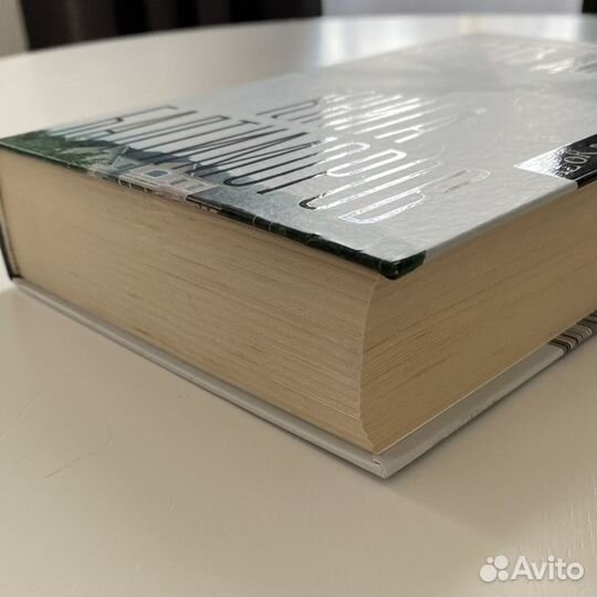 Книга балтиморов Жоэль Диккер