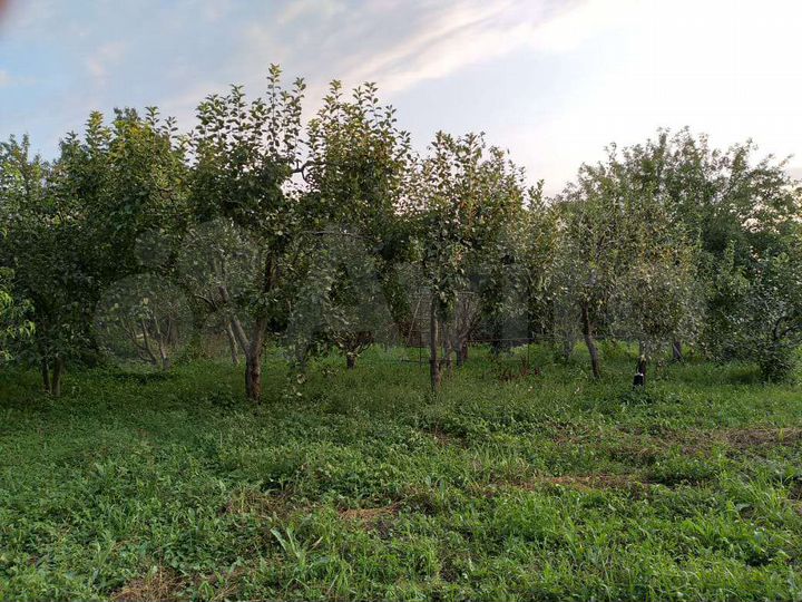 Участок 24 сот. (ИЖС)