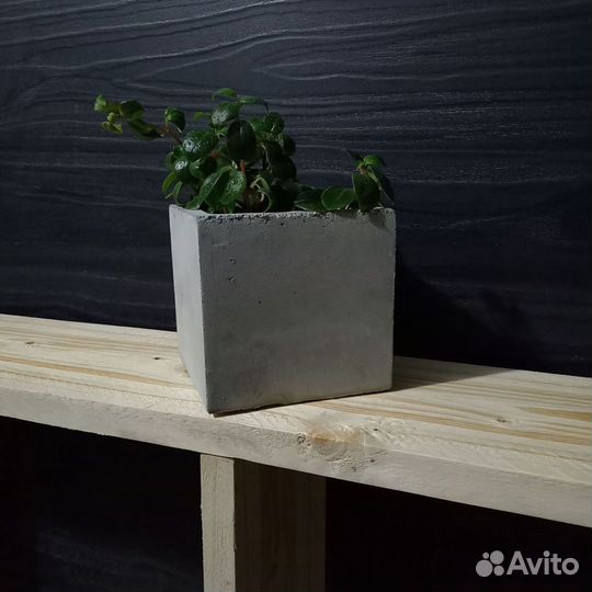 Горшки, Вазоны, Кашпо под заказ из бетона