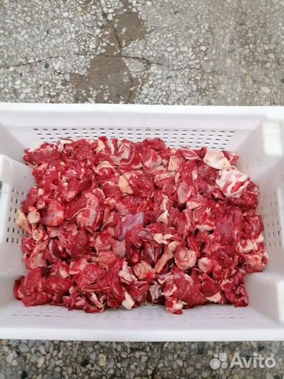 Мясо говядина котлетка