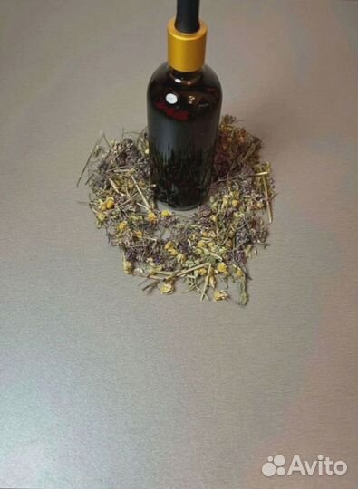 Маслогон паразитарный N1