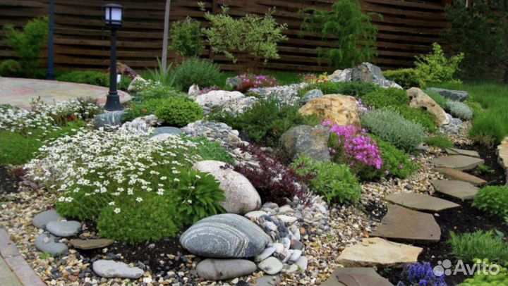 Почвопокровные растения Цветы