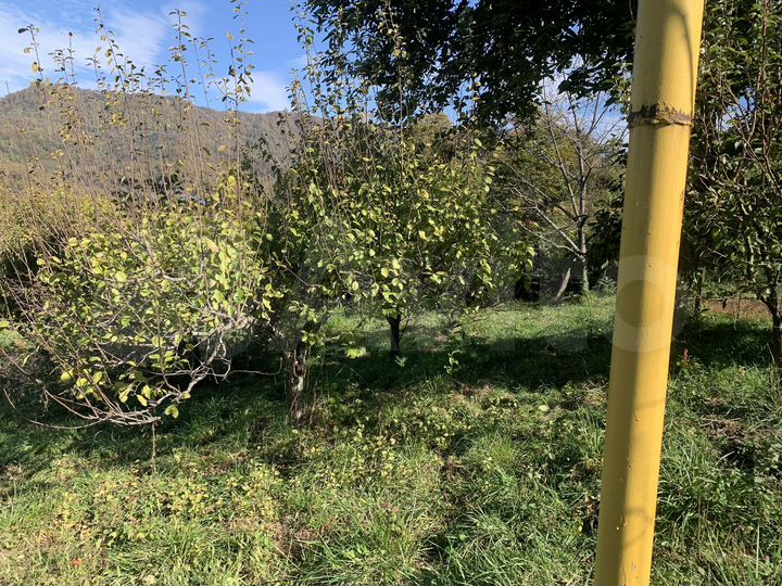 Участок 16 сот. (СНТ, ДНП)