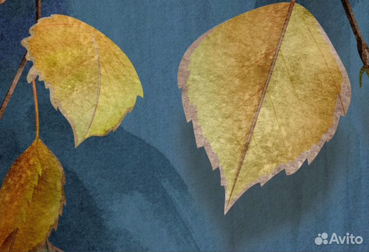 Фотообои по своим размерам