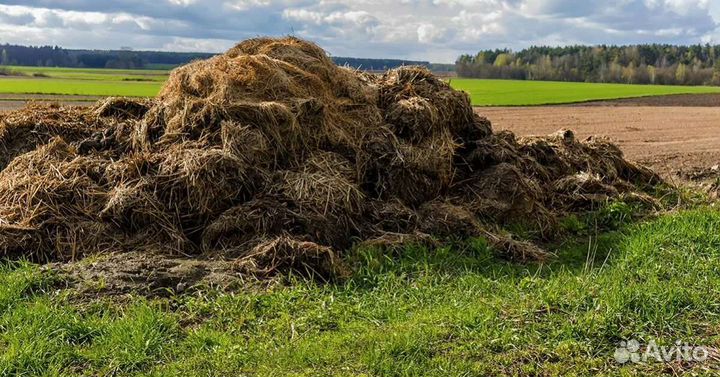 Навоз коровий