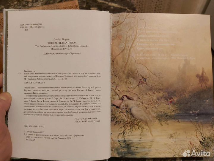 Книга Фей Кэролин Терджен