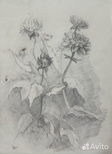 Зарисовки цветов и деревьев А4