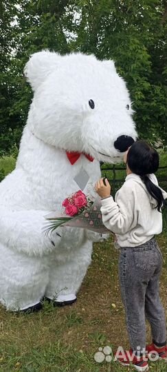 Поздравление белый Мишка