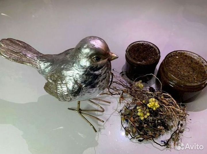 Мёд от простатита