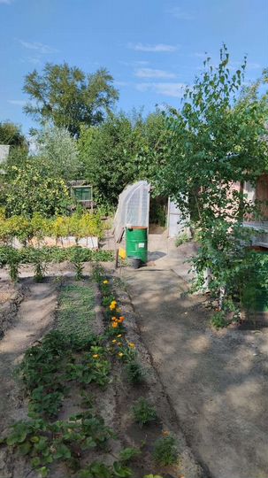 Дача 25 м² на участке 3,5 сот.