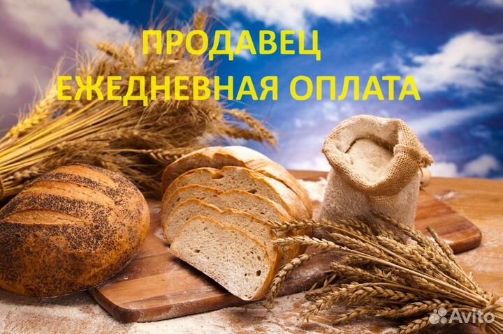 Продавец с ежедневной оплатой (все станции)