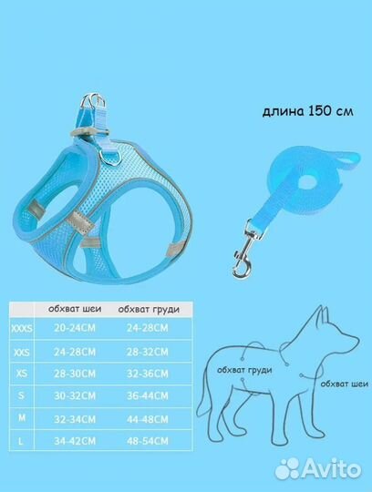 Шлейка с поводком