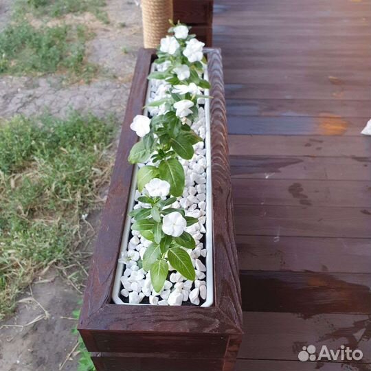 Кашпо для цветов