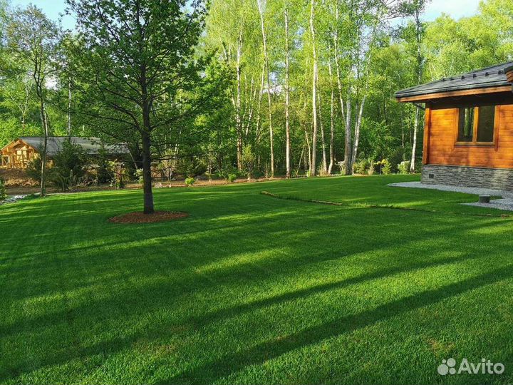 Рулонный газон под ключ. Отсыпка участка. Дренаж