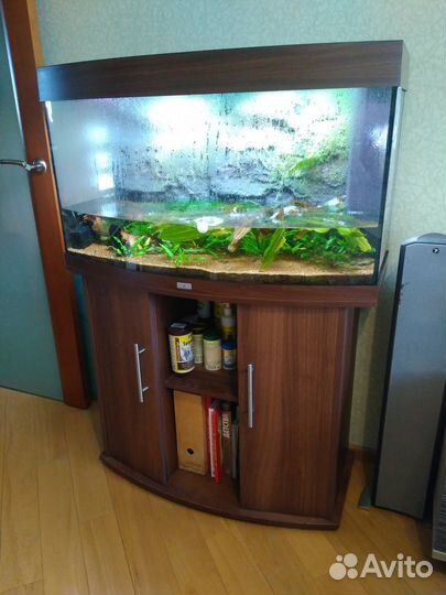 Аквариум панорамный Juwel Vision 180 с тумбой