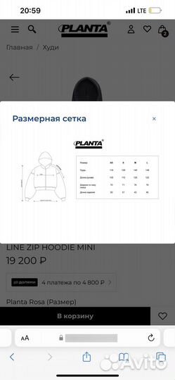 Planta rosa худи