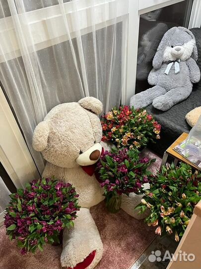 Букет из Альстромерии