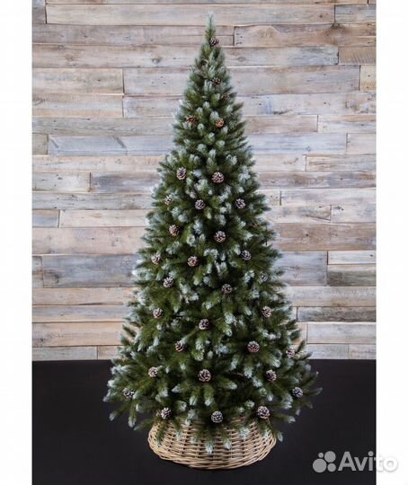 Ель с шишками Triumph Tree 215 см