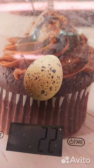 Яйца перепелиные