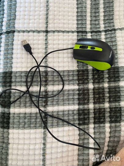 Мышь