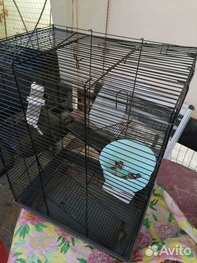 Клетка для грызунов большая