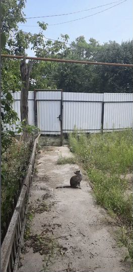 Дом 68 м² на участке 16 сот.