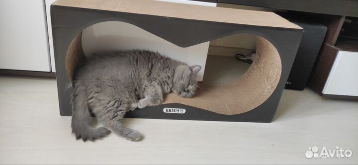 Когтеточка домик для кошки