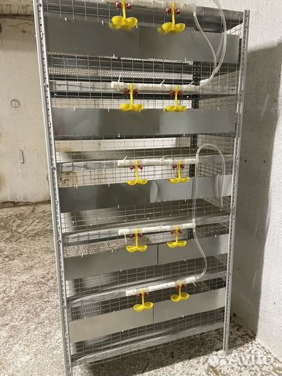 Клетки для перепелов новые