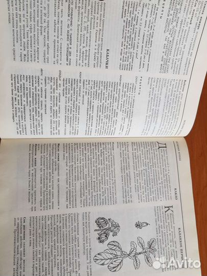 Книга Зеленая аптека Природа лечит В.Орехов