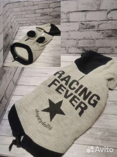 Одежда для животных