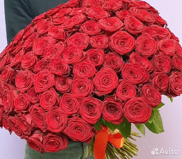 Розы Доставка цветов 35 51 101 роза Цветы